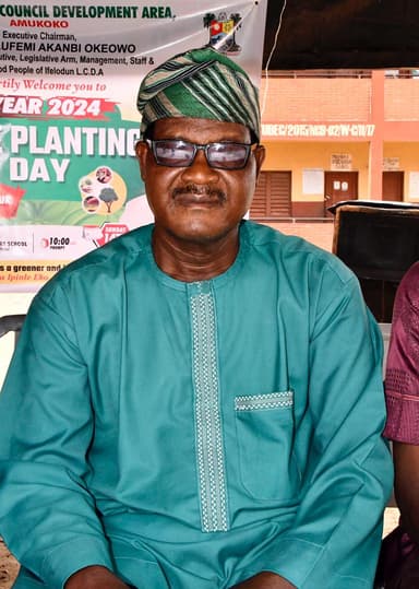 Hon James Olaosebikan